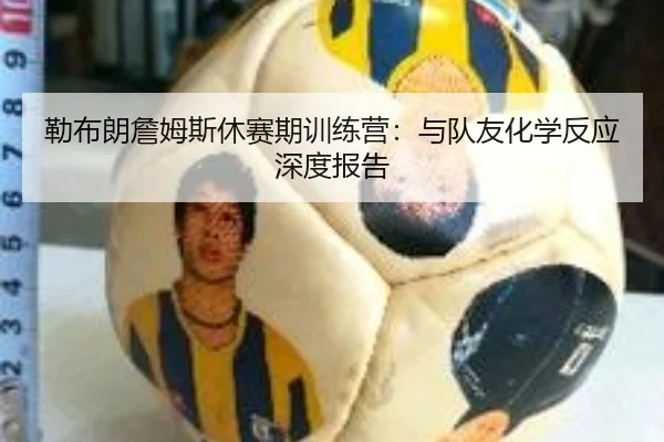 勒布朗詹姆斯休赛期训练营：与队友化学反应深度报告