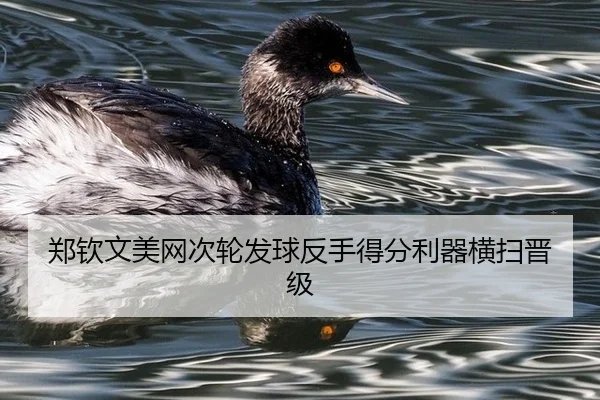 郑钦文美网次轮发球反手得分利器横扫晋级